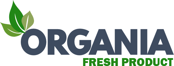 Miody z Łochowa – 100 % naturalne miody z Łochowa